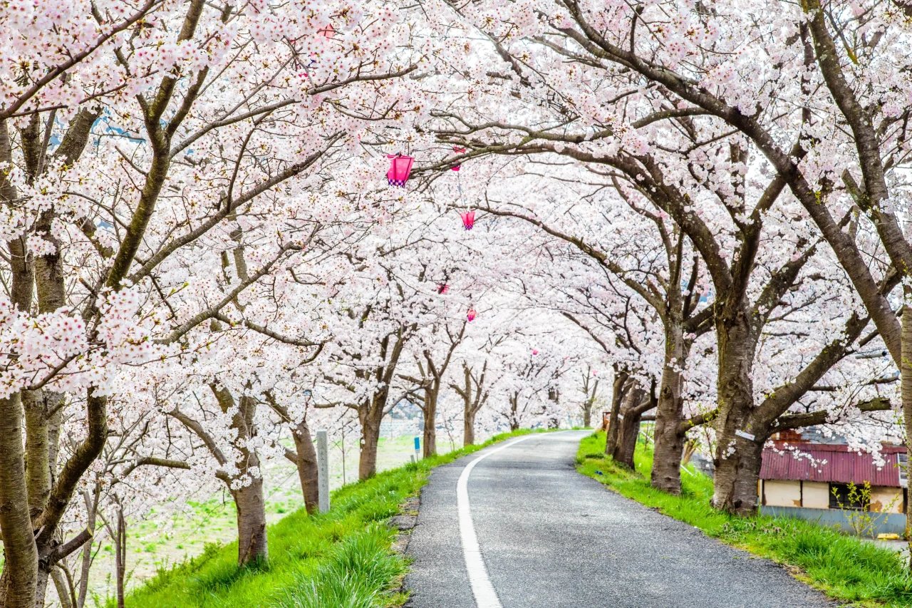 🌳 이바라 재충전 공원 고요의 구역(이바라 리후렛슈 코엔 시즈노 존) 이미지 5
